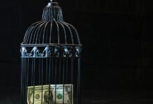 financial freedom secrets unveiled