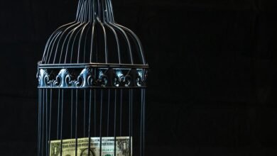 financial freedom secrets unveiled