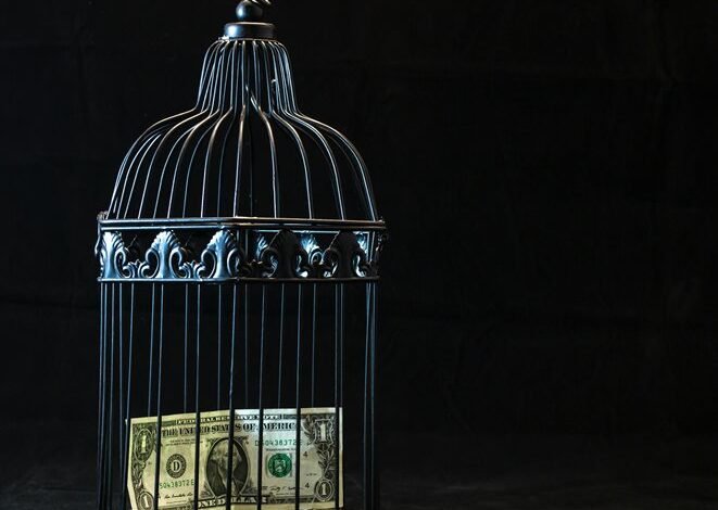 financial freedom secrets unveiled