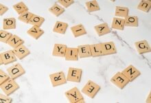 high yield investment options