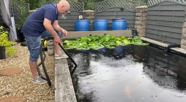 Swimming Pond