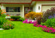 DIY Lawn Care: Tips for a Lush Green Yard
