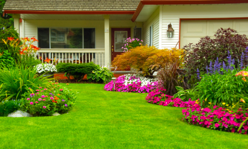 DIY Lawn Care: Tips for a Lush Green Yard