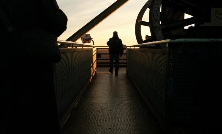 industry outlook analysis insights