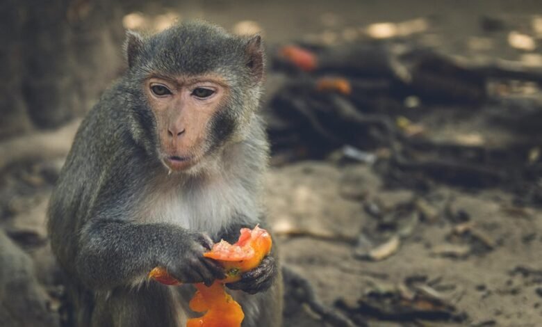 numerical data aggregation analysis