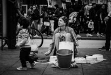 organisational performance overview report