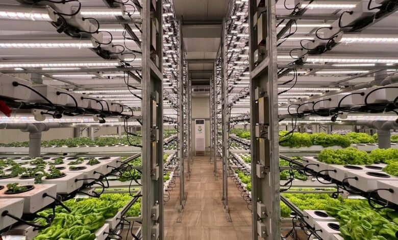 innovative growth strategies unleashed